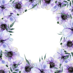 Flowers purple anemones and leaves. Watercolor illustration isolated on white background..