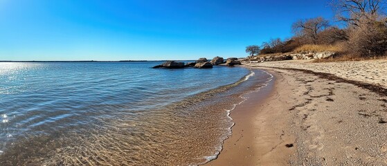 Sandy Shoreline of Lake Texoma: A Serene Landscape Under a Clear Blue Sky