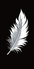 Lustrous Silver Feather on a Dark Canvas. A Soft Symbol of Elegance and Freedom