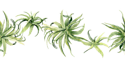 Watercolor aloe vera seamless border