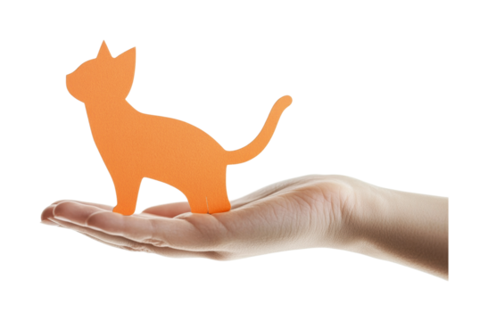 Orange cat silhouette held in hand representing companionship and creativity in art and design, cut out