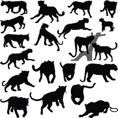 large set of predator animals silhouettes isolated on white