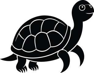 turtle on white background. vector illustration
