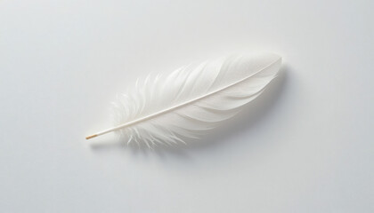 Pure White Feather Resting on White Background with Delicate Curves and Subtle Shadows