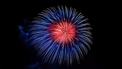 Fototapeta premium Red, White, and Blue Fireworks Burst in the Night Sky During a Summer Celebration