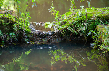Small waterfall between two planes of a watercourse with reflected foliage
