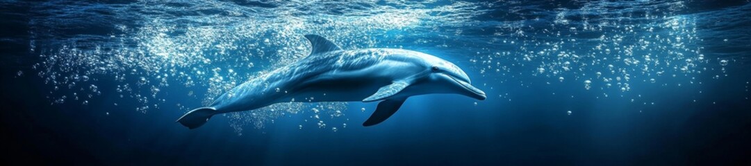 Fototapeta premium A peaceful dolphin swimming gracefully under the sea surrounded by bubbles. Generative AI