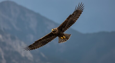 Majestic Eagle in Flight: A Serene Mountain Landscape