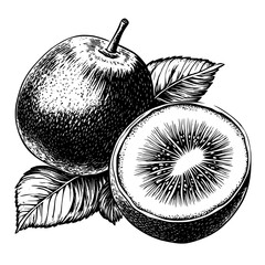 Engraved illustration of fruit with a whole apple and a halved kiwi on leaves