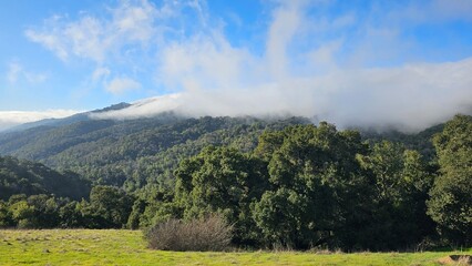 Fototapeta premium landscape in the mountains