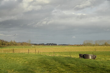 Contraste entre les champs sous le soleil et les nuages sombres &agrave; l'horizon en fin de journ&eacute;e sur un paysage rural &agrave; Ghislenghien (Ath) 