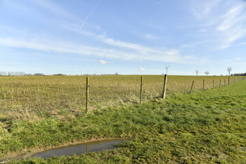 Paysage rural sous les cirrus dans le ciel bleu &agrave; Ghislenghien (Ath) 