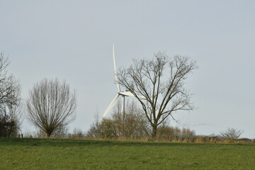Éolienne dépassant la cime des arbres à Ghislenghien (Ath)