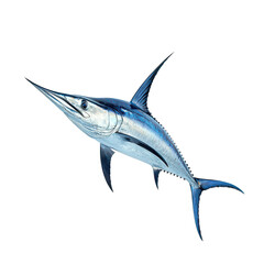 Marlin isolated on transparent background, PNG