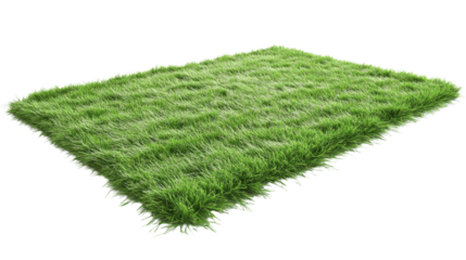 Green grass patch floating on transparent background