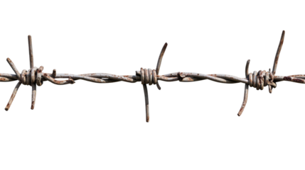 Rusty barbed wire creating dangerous barrier on transparent background