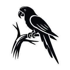 Obraz premium Parrot Silhouette on Tree Branch