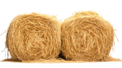 Two round hay bales resting on transparent background