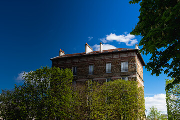Spring in Paris. Blossom and architecture. High resolution photo.