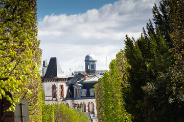 Spring in Paris. Blossom and architecture. High resolution photo.