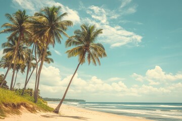 Obraz premium A serene tropical beach with palm trees and crystal-clear water, bathed in the soft glow of sunlight