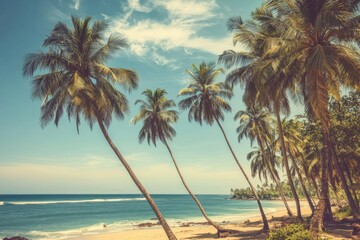 A serene tropical beach with palm trees and crystal-clear water, bathed in the soft glow of sunlight