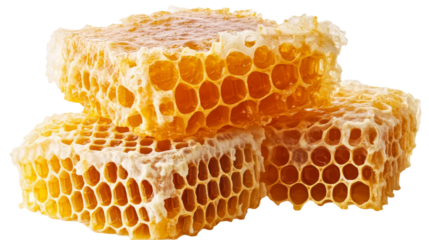Three pieces of honeycomb full of honey on a transparent background