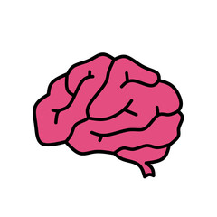 human brain vector illustration