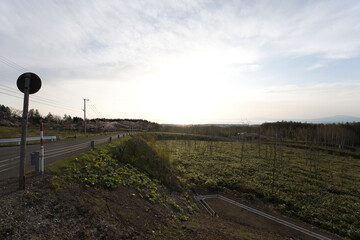北海道の広大な大地と夕焼け