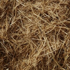 Golden straw bale close-up displaying dry texture and natural rustic appearance
