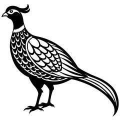 Obraz premium a detailed illustration of a pheasant, showcasing its elegant form and intricate feather patterns vector illustration