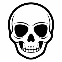 Obraz premium a detailed illustration of a human skull with black eye sockets and a row of teeth. The skull is a symbol of mortality, death and halloween vector illustration