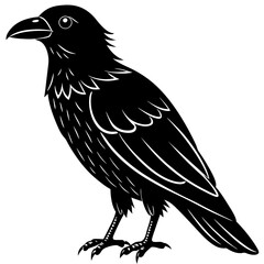 Fototapeta premium a black raven vector illustration. The raven stands, with its head turned slightly and its beak pointed forward