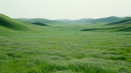 A scenic landscape featuring rolling green hills with a vast meadow