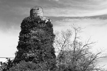 Spring in Paris. Blossom and architecture. High resolution photo.
