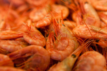 fresh shrimps on the market