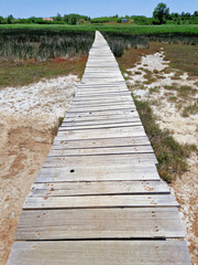 Wooden boardwalk through a marshland under a clear blue sky