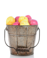 An old bucket  of red and white potatoes on white with reflection.