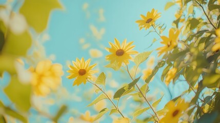 Sunny garden flowers, vibrant yellow blooms, summer day, bokeh background