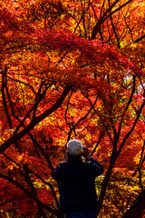 紅葉の山で20241201