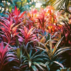 Obraz premium Vibrant tropical foliage in a lush garden.