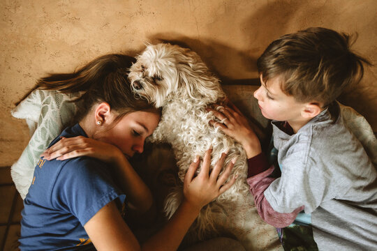 kids snuggling dog