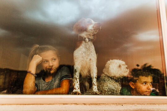 Brother and Sisters and Dogs watching Monsoon through window