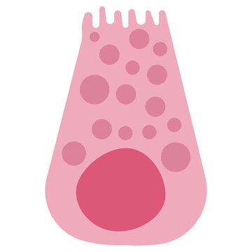 Paneth cell colored icon