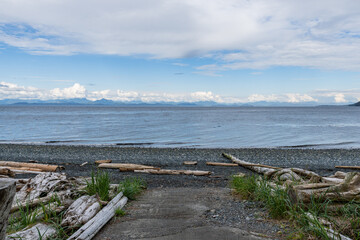 Fototapeta premium shore of Malcolm Island with old tree logs beautiful water of the ocean with clouds on blue sky