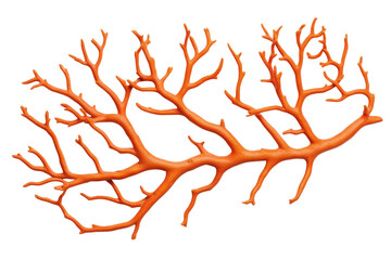 Intricate orange coral branch, cut out