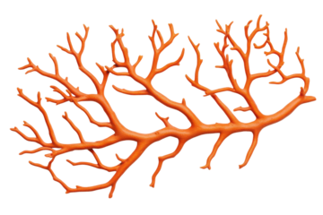 Intricate orange coral branch, cut out