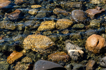 Close-up of vivid wet rocks along a shoreline, displaying intricate natural textures and vibrant colors
