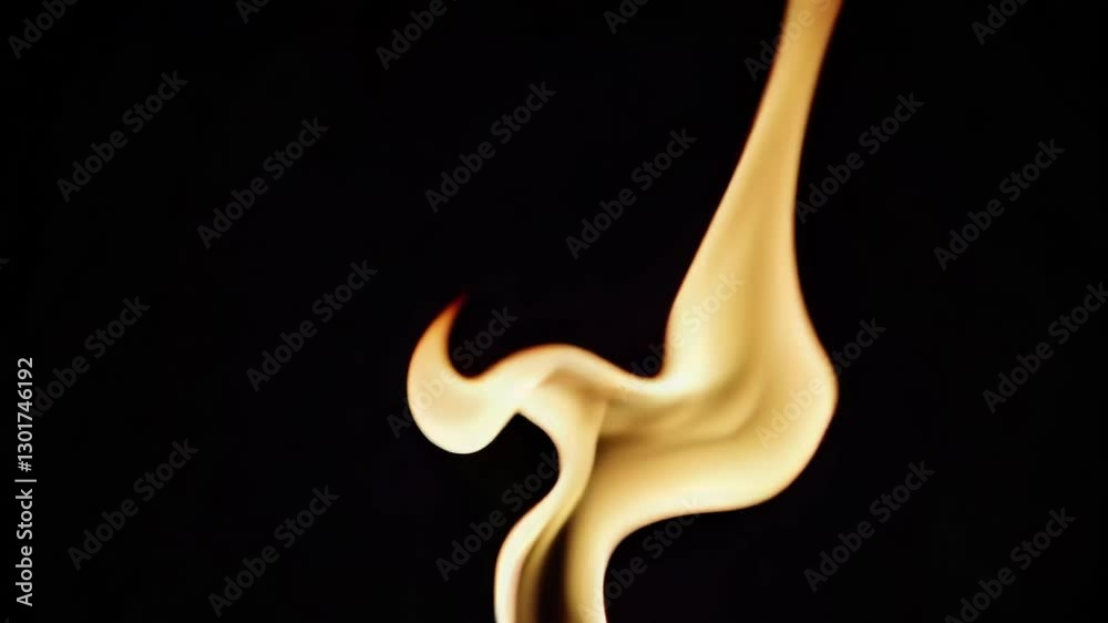 Poster flame resembling a bird shape on a black background. fire and shadow concept