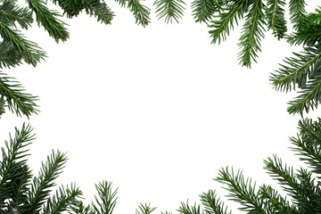 Green fir branches frame a blank white space, cut out